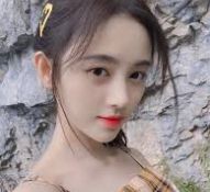 案例速览路径